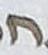 Letter - #10052