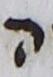 Letter - #10110