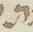 Letter - #10114