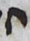 Letter - #10122