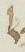 Ligature - #10132
