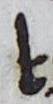 Ligature - #10137