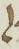 Ligature - #10149