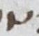 Letter - #10299