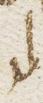 Ligature - #10602