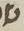 Letter - #10899