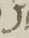 Letter - #10901