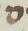 Letter - #10907