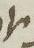 Letter - #10909