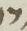Letter - #10914