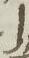 Letter - #10928