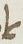 Ligature - #11029