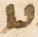 Letter - #11073
