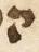 Letter - #11080