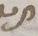 Letter - #11229