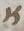 Letter - #11244