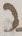 Letter - #11246