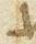 Letter - #11268