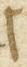 Letter - #11275