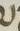 Letter - #11337