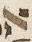 Letter - #11426