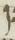 Letter - #11446