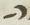 Letter - #11485