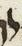 Letter - #11505