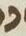 Letter - #11557