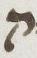 Letter - #11653