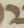 Letter - #11659