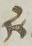 Ligature - #11677