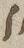 Letter - #11712