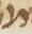 Letter - #11768