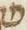 Letter - #11770