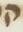Letter - #11784