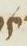 Letter - #11787