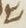 Letter - #11788