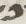 Letter - #11823
