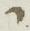 Letter - #11825