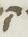 Letter - #11828