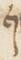 Letter - #11858