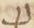 Letter - #11887