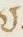 Letter - #11892