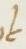 Ligature - #11894