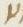 Letter - #11977