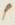 Letter - #11993