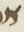 Letter - #12020