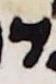 Letter - #12170