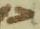 Letter - #12287